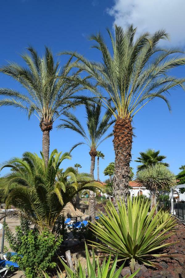 Parque Golf Fresh Apartment Maspalomas  Ngoại thất bức ảnh