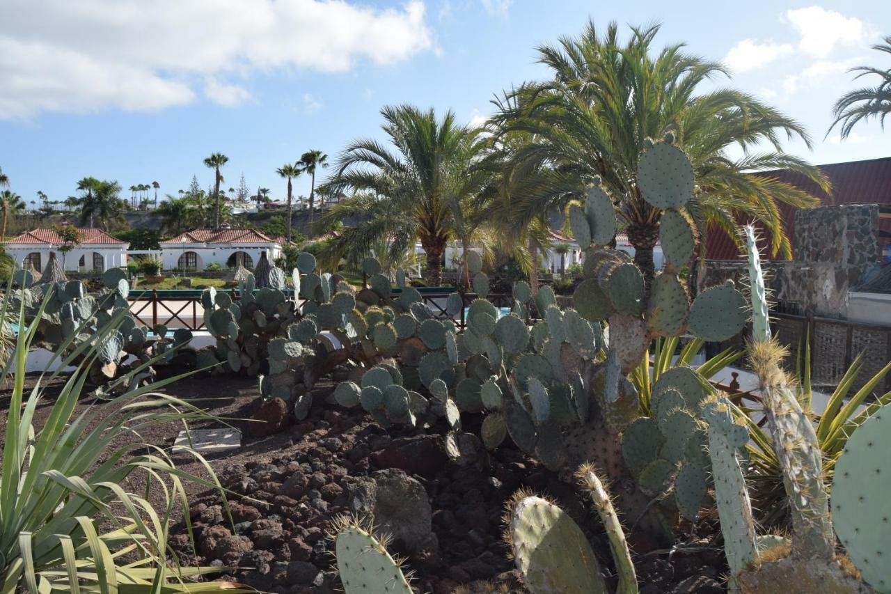 Parque Golf Fresh Apartment Maspalomas  Ngoại thất bức ảnh